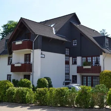 Luxus Hirschzeit * Goslar